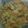 farishah.2125's cooksnap of when they made cauliflower and broccoli cheese bake.