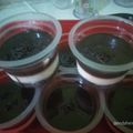 Cooksnap dari Endah Mumpuni untuk resep Oreo Cheese Cake Lumer (No Bake) 💛