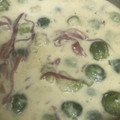 El cooksnap de saray cuando hizo Coles de bruselas con crema de mandarinas.