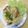 Cooksnap của SiLinh khi họ làm theo món Phi Lê Gà Sốt Kem Táo