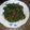 Cooksnap dari umi hanifah untuk resep Tumis Kangkung Terasi