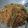 Cooksnap dari Vania Mahdicka E untuk resep Bihun Goreng Bakso