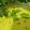 Nikita Karia's cooksnap of when they made લસણ વાળી કઢી (Garlic Kadhi Recipe In Gujarati).