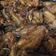 Cooksnap dari Nia Chandra Vidic untuk resep Ayam Kecap