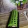 Cooksnap dari retno_chris untuk resep Bolu Gulung ala Meranti (swiss roll cake)