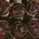 Cooksnap dari Risha untuk resep Muffin Pisang Coklat
