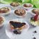 Cooksnap dari Atika Duta untuk resep Pie Brownies Tepung Ketan Keju (478)