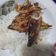 Cooksnap dari Fenti Ken untuk resep Pindang Sambal Embe