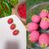Cooksnap dari umma Zhafira untuk resep Nastar Strawberry