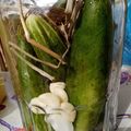 Cooksnap-ul lui Laura Maria atunci când a preparat Castraveți murați,la soare.. de vară.