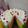 Cooksnap dari Widya Arum Pramesty untuk resep Rainbow Cake ala Ny.Liem