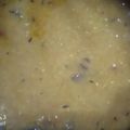 Muskaan Kashif's cooksnap of when they made Mong Masoor ki Daal.