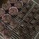 Cooksnap dari Asti Yana untuk resep Muffin Coklat Chocochips ala Breadtalk