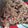 El cooksnap de GABI_COOK cuando hizo Budín saludable de harina integral con chips de chocolate y coco rallado.