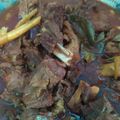 Cooksnap dari Rika Nurwulan untuk resep Rabeg kambing khas Banten ala mama nadyne😋