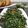 Cooksnap dari nani yusuf untuk resep Tumis kangkung