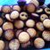Cooksnap dari Sherly Dwi lestari untuk resep Bolu kering cup imut