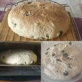 El cooksnap de saritanisha cuando hizo Pan de aceitunas.