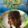 Cooksnap dari Nouna Genjoez Liiushalloviiee untuk resep Pancake Teflon Empuk