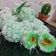 Cooksnap dari Elisabeth Febrina Sebayang (Mak Gege) untuk resep Klepon
