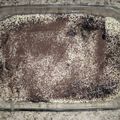 Igor Steinmacher's cooksnap of when they made Italian Tiramisu.