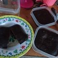 Cooksnap dari Ririn Nugroho untuk resep Bengbeng lava Cake kukus simple