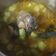 Cooksnap dari Betsy Yokhebed untuk resep Sop Ikan & Goreng Ikan Mak Beng Bali