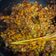 Cooksnap dari dinovit untuk resep 1. Sambal Goreng Kentang Ati Sapi tanpa Santan