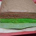 Cooksnap dari Evi Soviawati untuk resep Brownies pandan coklat kukus