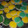 El cooksnap de Rocio Garcia cuando hizo Alfajores de maicena de varios colores rellenos con mermelada .