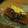 Cooksnap dari koenyitz untuk resep Chocolate Melt Brownies Agogo
