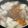 Nancy Chou 的 蘿蔔排骨湯 cooksnap