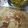 chitra bansal's cooksnap of when they made Ajwain paratha.