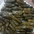 صورة من ساره ، شاركها بعد تجربة وصفة ورق العنب.(الدوالي)