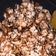 Cooksnap dari Linaa Marliani Sweetydiot untuk resep Popcorn coklat karamel