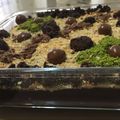 صورة من Mrs Ch3f، شاركها بعد تجربة وصفة بسكوت بشوكلاته سهل الصنع