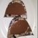 Cooksnap dari Cherry Kintani Winnetou untuk resep Pudding Milo Oreo Susu