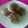 Cooksnap dari Rahma Odhong untuk resep Kumbu kacang hijau goreng