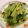 Psyche Chang 的 清炒青江菜 cooksnap