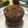 El cooksnap de Arturo cuando hizo Mug cake de cacao y avena 😋 (sin azúcar, grasa ni harina).