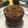 El cooksnap de Arturo cuando hizo Mug cake de cacao y avena 😋 (sin azúcar, grasa ni harina).