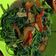 Cooksnap dari Hanny Theresia untuk resep Tumis Kangkung Terasi Pedas