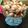 Jasmin Motta _ #BeingMotta's cooksnap of when they made Caramalised foxnuts and walnuts.