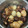 Iris Hwang 的 養樂多燒肉 cooksnap