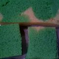 Cooksnap dari Ana Nurul untuk resep Bolu singkong
