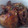 Cooksnap dari Nur Amalia untuk resep Ayam Goreng Mentega