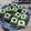 Cooksnap dari Rainy untuk resep Putu Ayu 1kg