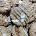 Cooksnap dari Trisna Dinata untuk resep Oat and Nut Chocolate Cookies