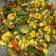 Cooksnap dari ranty wulandari untuk resep Cumi cabe ijo