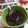 Kliiz Jimenez's cooksnap of when they made Salsa de Soya con Chiles Toreados.